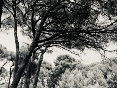 marchande de rêves